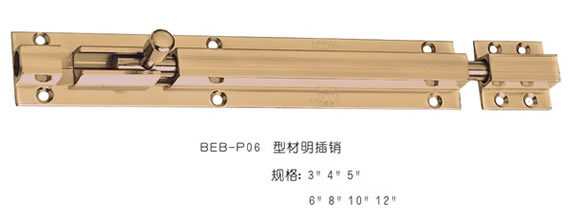 BEB-P06