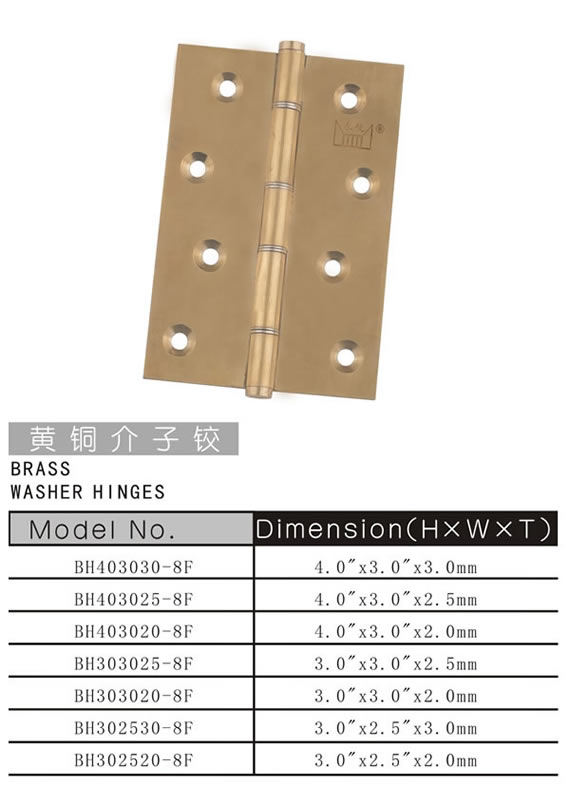 BRASS WASHER HINGES 