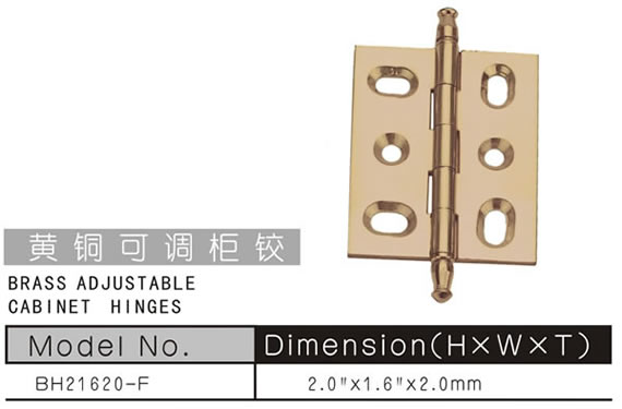 BRASS ADJUSTABLE CABINET HINGES 