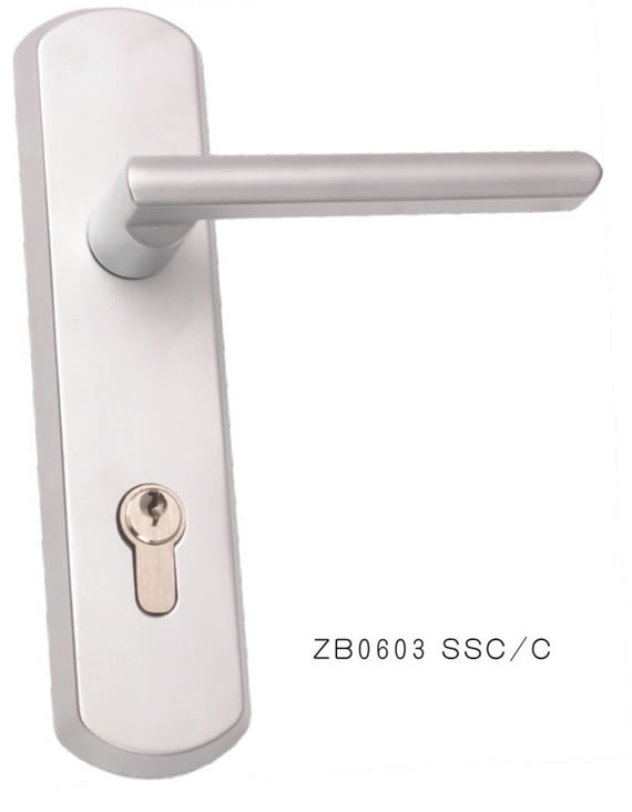 ZB0603 SSC-C